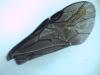 Dulophanes morio